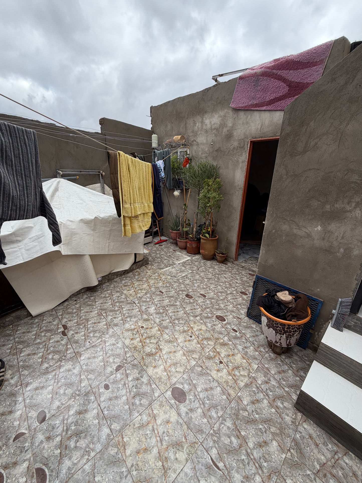 RIAD ELENA - BEN SALAH